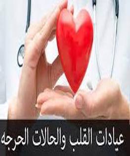 /~/Uploads//Covers//1c1339e0-ab5d-45aa-a72e-98c5f9e77071محمد عارف.jpg